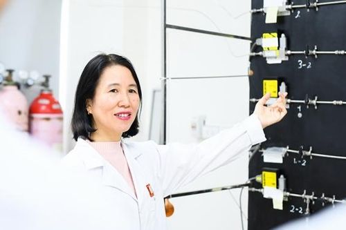 Nhà khoa học Giải thưởng Kovalevskaia 2022 đam mê nghiên cứu các dòng xúc tác