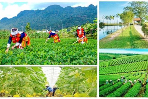 Kiện toàn Ban Chỉ đạo Trung ương các chương trình mục tiêu quốc gia giai đoạn 2021 - 2025