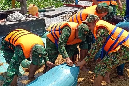 Bộ đội biên phòng giúp dân vớt 129 tấn lúa bị chìm