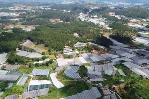 Lâm Đồng từ chối ý tưởng quy hoạch dự án 11ha của Tân Thành Holdings