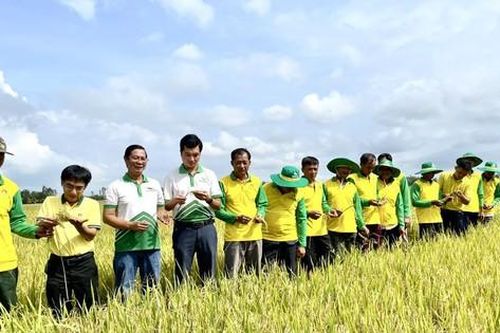 PVCFC: Hành trình 12 năm kiến tạo giá trị nông nghiệp Việt
