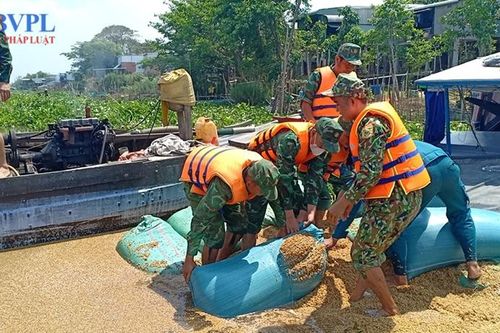 Bộ đội Biên phòng trục vớt 130 tấn lúa bị chìm trên sông Châu Đốc