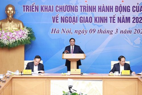 Triển khai Chương trình hành động của Chính phủ về ngoại giao kinh tế