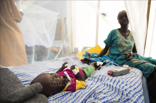 Dịch tả bùng phát tại Nam Sudan
