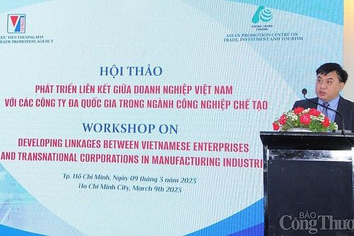 Phát triển liên kết doanh nghiệp Việt với công ty đa quốc gia trong ngành công nghiệp chế tạo