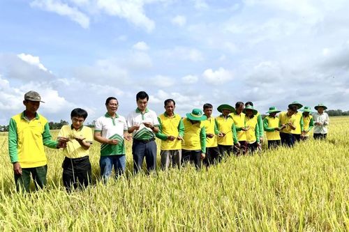 PVFC đạt doanh thu 82.000 tỷ trong 12 năm