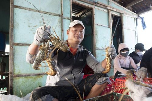 Nông thủy sản sang Trung Quốc 'rộng cửa' nhưng... vướng rào