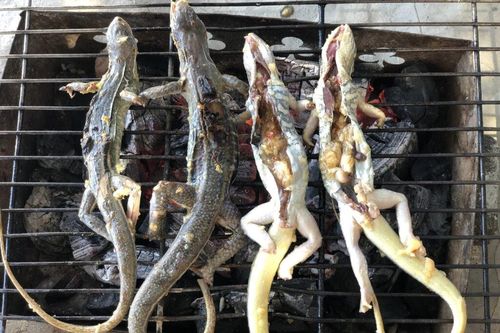 Đặc sản Bình Thuận được làm từ 'vua của sa mạc', nhìn thì sợ nhưng ăn là ghiền