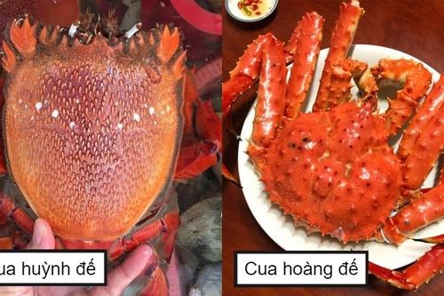 Cua hoàng đế đắt đỏ: Chủ cửa hàng tiết lộ bí mật không ngờ người mua cần biết để không bị thiệt