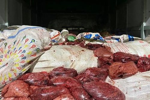 Kinh hoàng 4 tấn thịt lợn biến đổi màu sắc, bốc mùi hôi thối được sơ chế, hút chân không để dễ dàng tiêu thụ