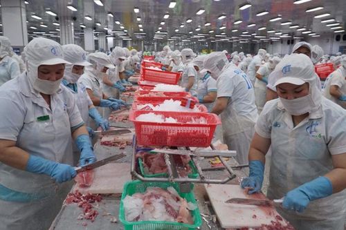 Đồng Tháp: Chuyển đổi tư duy trong sản xuất nông nghiệp