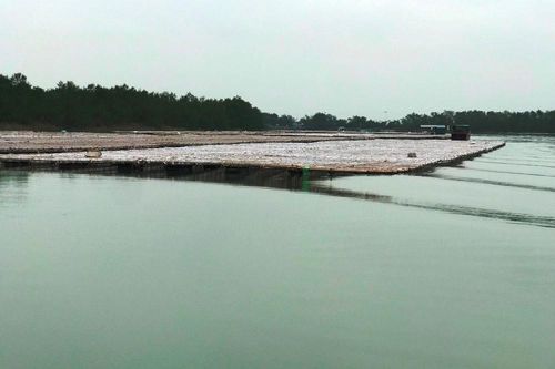 Hàng trăm ha mặt nước bị chiếm dụng trái phép tại Quảng Ninh