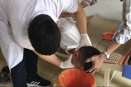 11 học sinh Hà Tĩnh ngộ độc do ăn quả cây ngô đồng