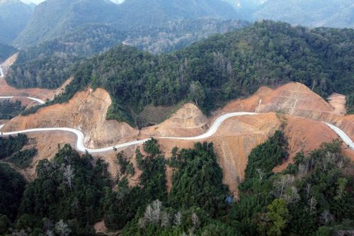 Cao Bằng: Nhiều cánh rừng rộng hàng chục hecta bị 'xóa sổ' khi làm đường