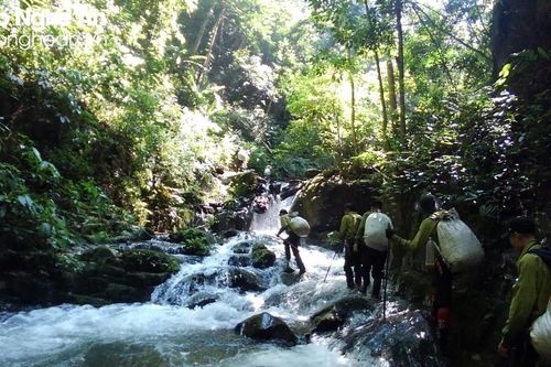 Thường trực HĐND tỉnh Nghệ An thống nhất xây dựng chính sách hỗ trợ lực lượng chuyên trách bảo vệ rừng