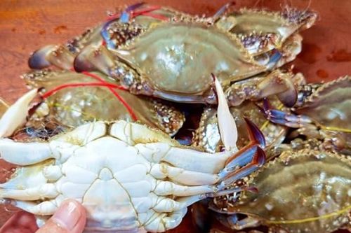 Mách bạn cách chọn mua cua, ghẹ ngon, nhiều thịt, người bán cũng phải khen thông minh