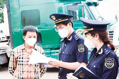 Hỗ trợ doanh nghiệp tận dụng ưu thế từ các hiệp định thương mại