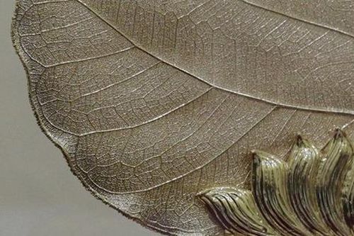Cận cảnh lá bồ đề dát vàng lớn nhất Việt Nam được xác lập kỷ lục