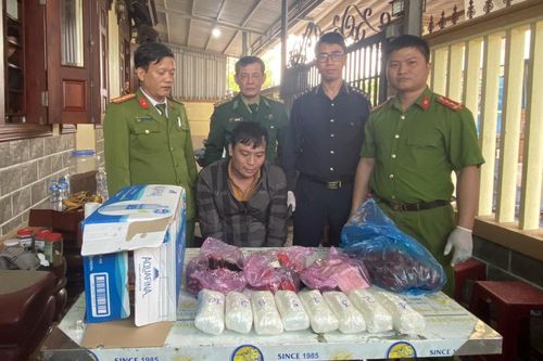 Giấu 6,5 kg ma túy trong nồi điện, bao cà phê