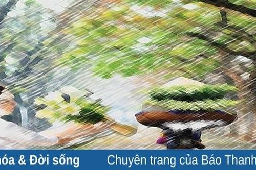 Hạ về trong lòng phố