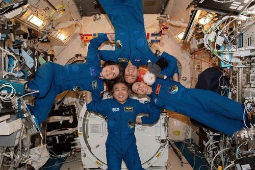 Tàu vũ trụ của SpaceX đưa 4 phi hành gia về Trái Đất