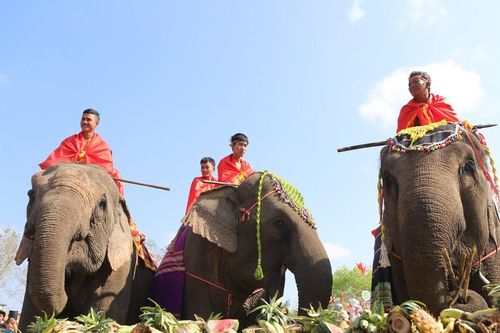Đặc sắc ngày Hội voi Buôn Đôn