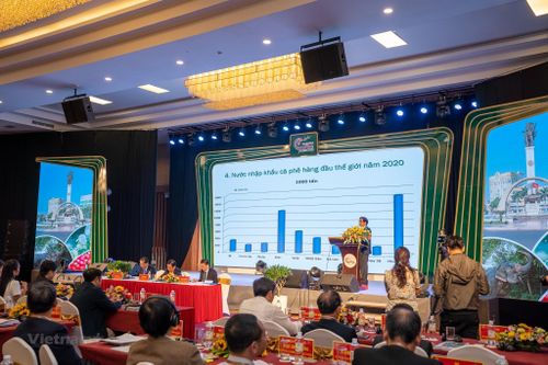 Nỗ lực xây dựng chuỗi ngành hàng càphê Việt Nam chất lượng cao