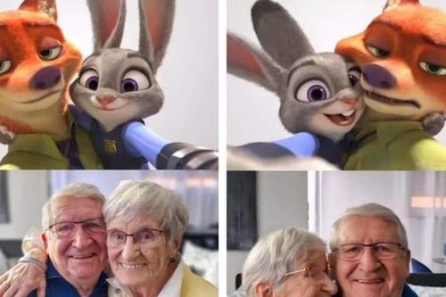 Ông bà cụ chụp ảnh kỷ niệm 61 năm ngày cưới theo trend 'Zootopia'