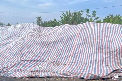 Cần Thơ: Xử lý dứt điểm rác trong khu dân cư