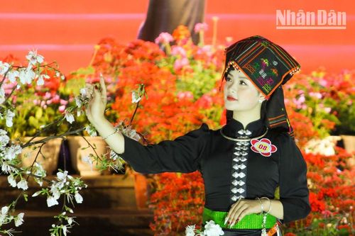 Sôi động Lễ hội hoa ban thành phố Sơn La