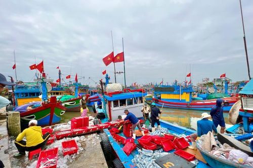Chở nặng 'lộc biển' từ ngư trường Hoàng Sa, Trường Sa