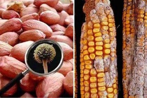 Người phụ nữ mắc ung thư gan vì thường ăn thực phẩm quen thuộc này