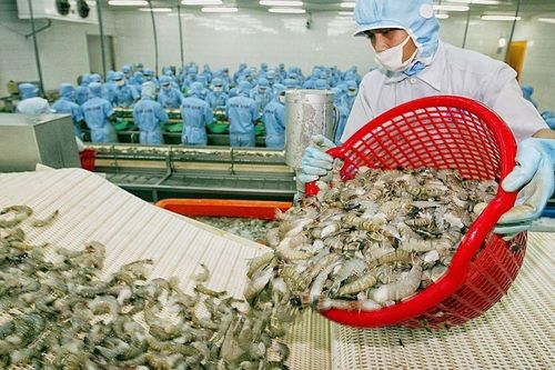 Thị phần tôm của Việt Nam chiếm 5% tại thị trường Mỹ