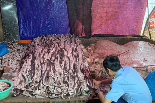 Phát hiện hơn 10 tấn thịt trâu, da trâu bốc mùi hôi thối