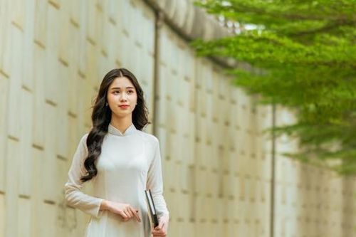 Bàng lá nhỏ xanh mơn mởn - Góc check-in mơ màng giữa lòng Thủ đô