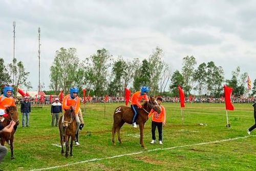 Bộ trưởng VHTTDL trả lời về 'đặt cược thể thao dễ bị lợi dụng, vi phạm pháp luật'