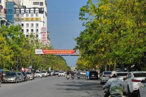 Thành phố Thanh Hóa: Thống nhất Phương án xây dựng Phố đi bộ và không gian văn hóa Quảng trường Lam Sơn