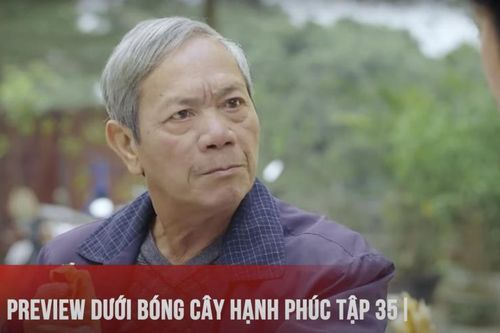 Dưới bóng cây hạnh phúc tập 35: Ông Công khen Son hết lời
