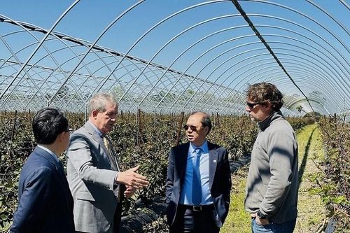 Thúc đẩy hợp tác nông nghiệp mang lại nhiều giá trị đóng góp cho Việt Nam và bang South Carolina (Hoa Kỳ)
