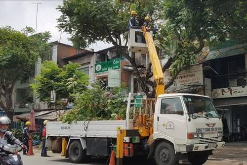 Sở GTVT TPHCM yêu cầu tỉa cây xanh, bảo dưỡng đường tránh giờ cao điểm