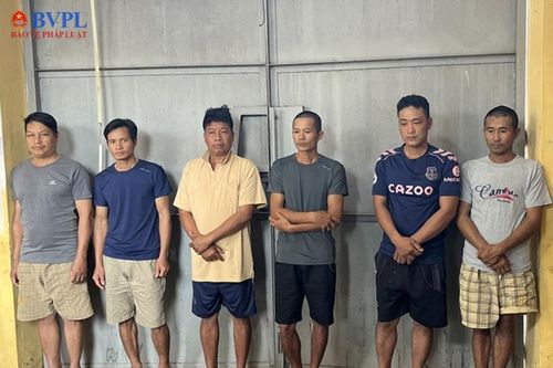 Phê chuẩn khởi tố, bắt tạm giam 6 'lâm tặc' gây án ở Vườn quốc gia Cát Tiên