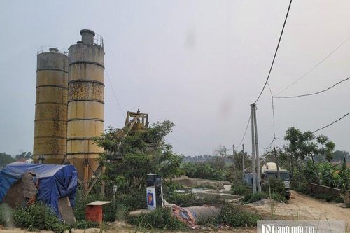 Trạm trộn bê tông, cây dầu 'mọc' trên đất lúa và nhà máy gạch