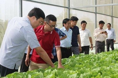 Bí thư Tỉnh ủy Lê Quốc Phong thăm mô hình sản xuất nông nghiệp tại huyện Cao Lãnh
