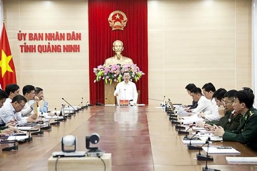 Quảng Ninh: Đất đồi tập trung phục vụ dự án công