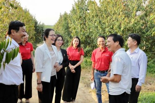 Vốn tín dụng Agribank - Xanh rừng núi, xanh biên cương