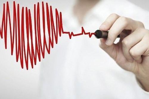 Người có nhịp tim nhanh hay chậm, ai sống lâu hơn?