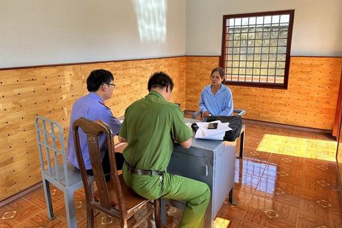 Lời khai của người mẹ dùng búa đánh chết nghịch tử