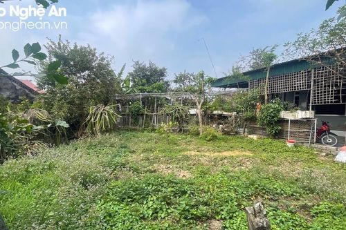 Nhiều bất thường trong vụ mất đất hương hỏa tại huyện Yên Thành