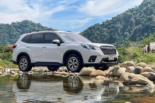 Trải nghiệm xe Subaru Forester trong hơn 600km đường đa địa hình