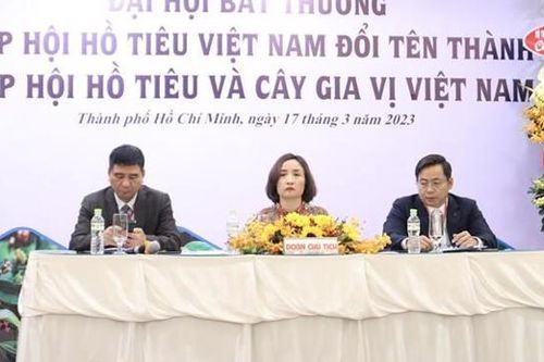 Bà Hoàng Thị Liên giữ chức Chủ tịch Hiệp hội Hồ tiêu và cây gia vị Việt Nam